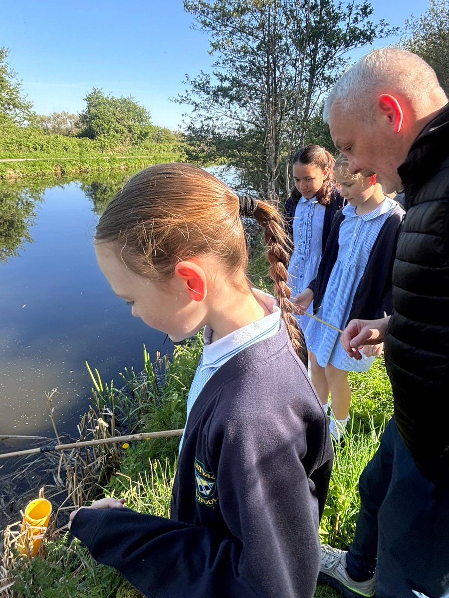 WestvalePrimary's tweet image. Fishing for frogspawn.  Thank you Mr Donnelly for taking us out.  We can't wait to watch the lifecycle of a frog in our school pond. #sciencecurriculum #allotment #pondlife
