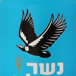 עומר אריכא tweet media