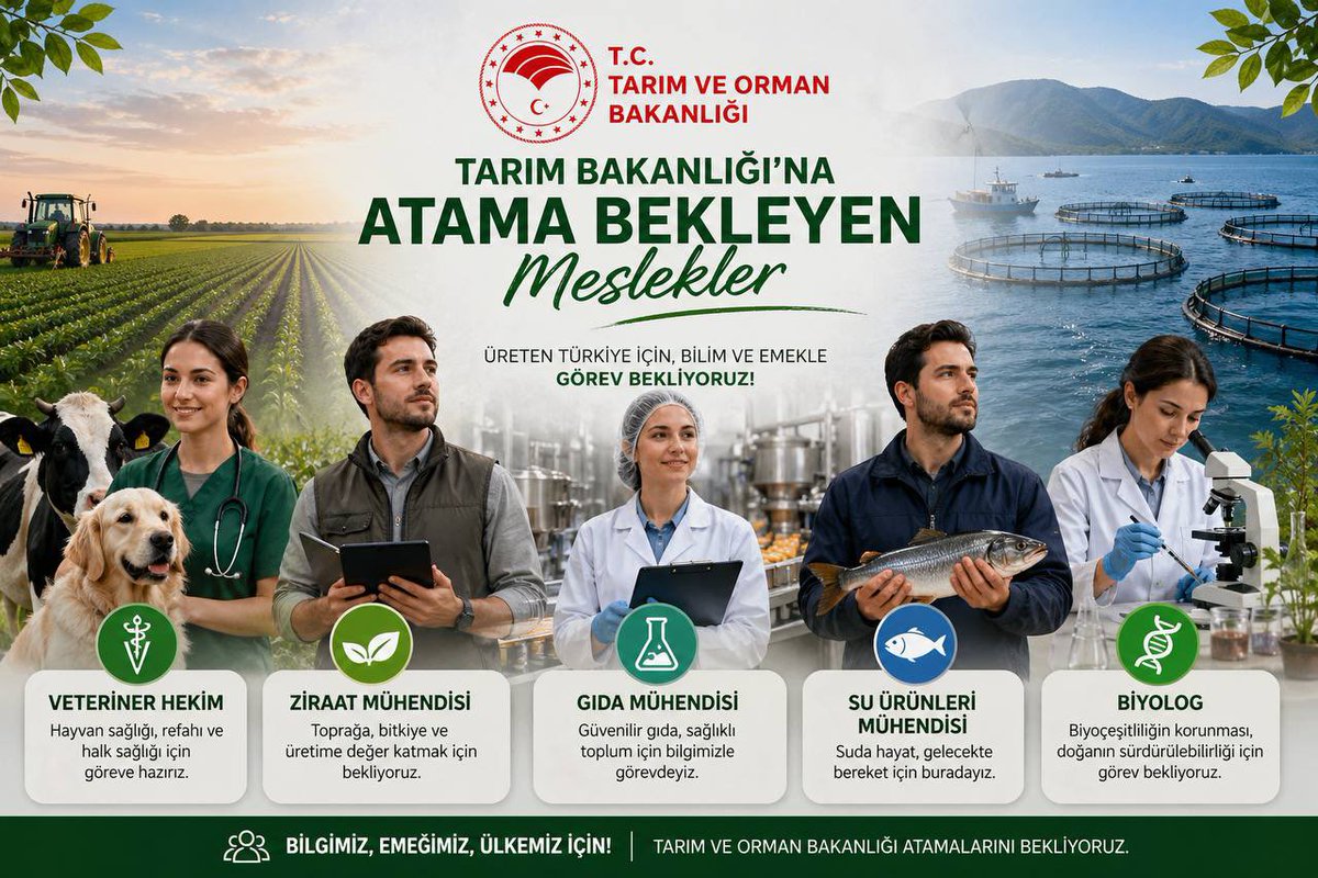 suurunlerimuhendisi tweet media
