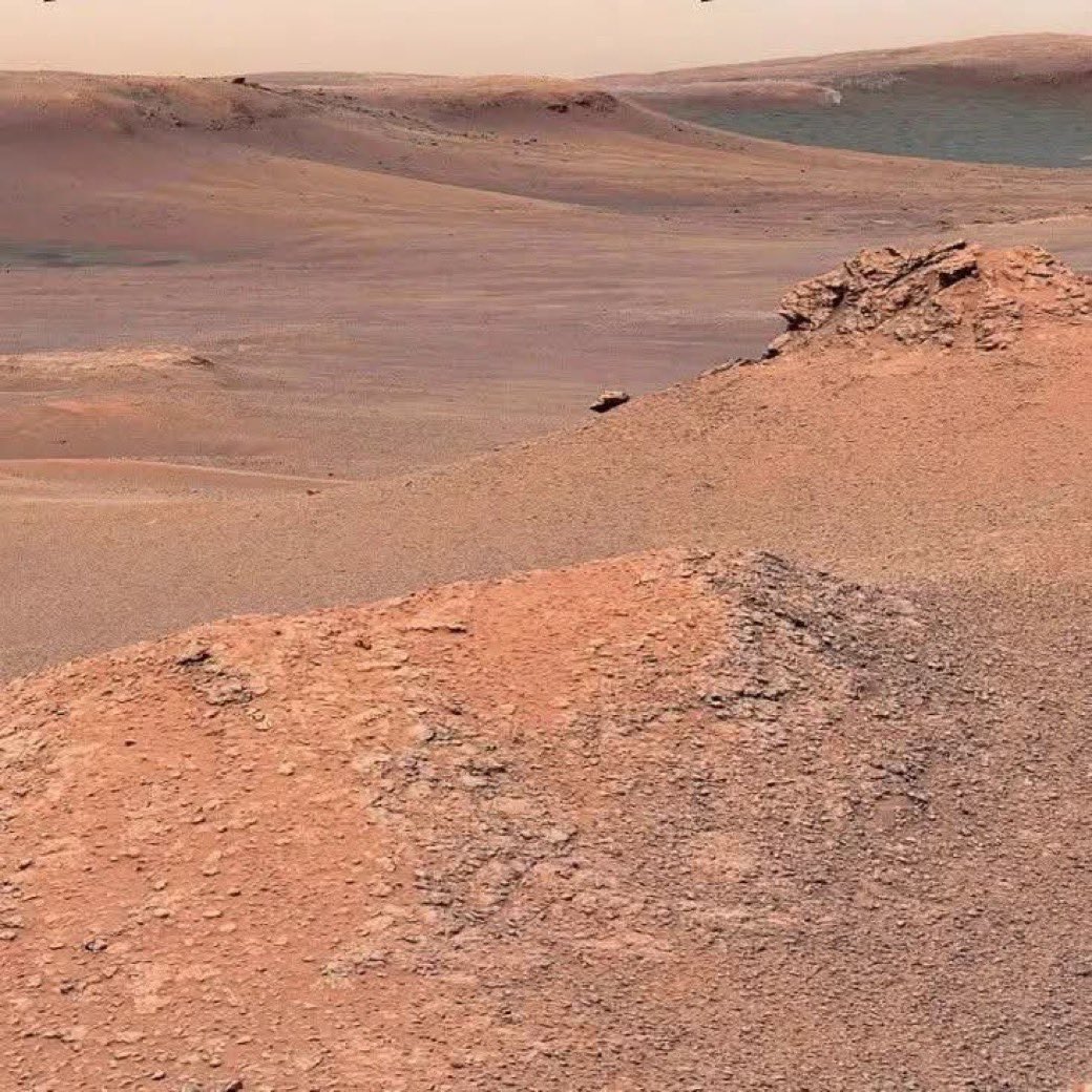 Dr. Dave tweet media