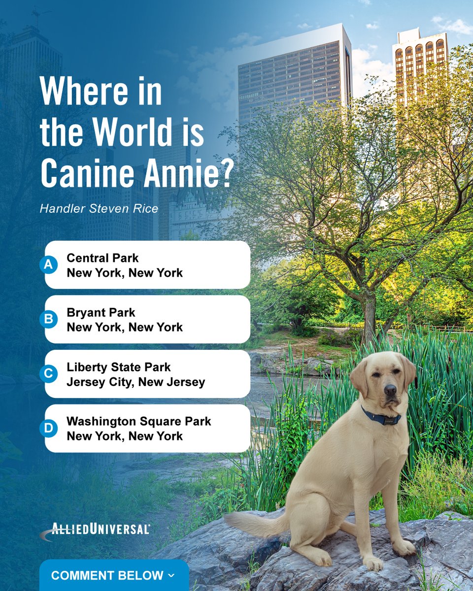 AlliedUniversal's tweet photo. Canine Annie is posted up and on watch today. Think you can guess where she's posing from?

Drop your guesses below.

Check back Friday for the answer and visit our page to see what our canine detection teams are up to in the meantime. https://t.co/e8mKExAVDi

#AlliedUniversal https://t.co/8RuOy0fzZK