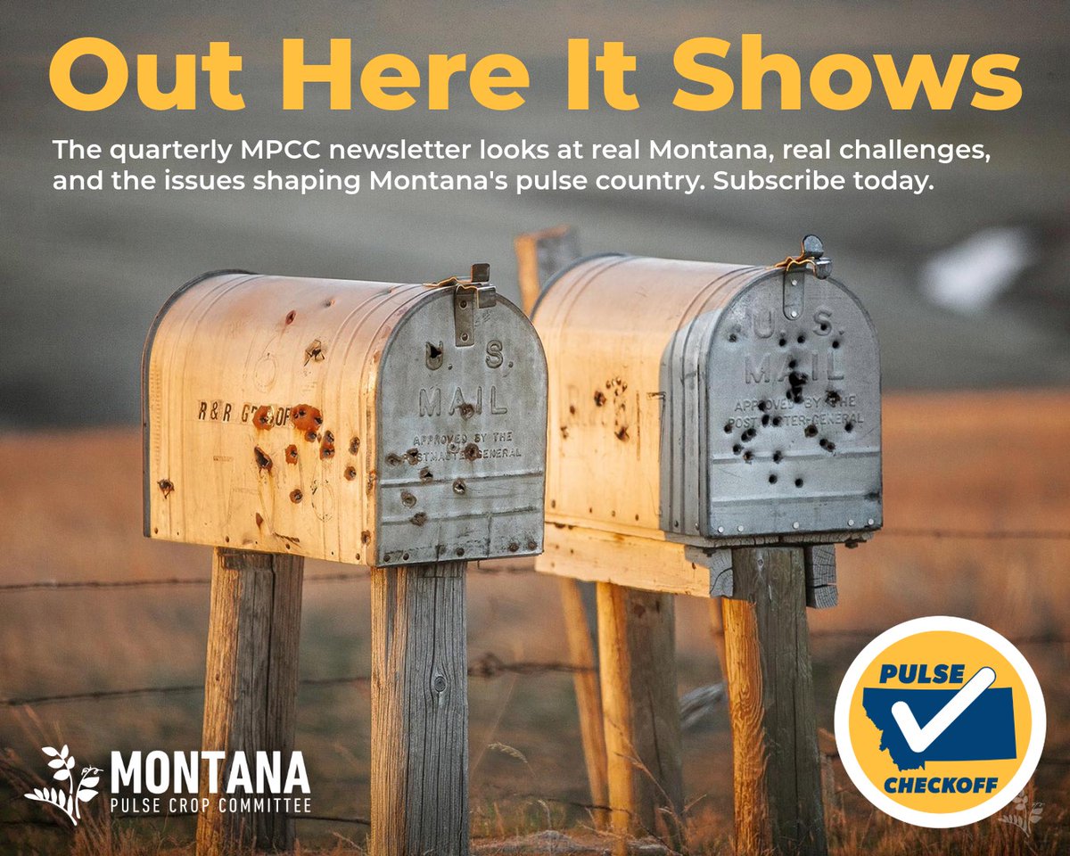 mtpulsecrops's tweet photo. 🚨 Q2 Montana Pulse Crop newsletter is on its way! 🌱 Stay updated on research, market developments, and how checkoff dollars support our growers. https://t.co/Ovvs6kP1ef 

Get timely updates delivered to your inbox! 📬 #Newsletter #PulseCrops #MontanaAg #MontanaFarmers #AgNews https://t.co/opkouHaWYR