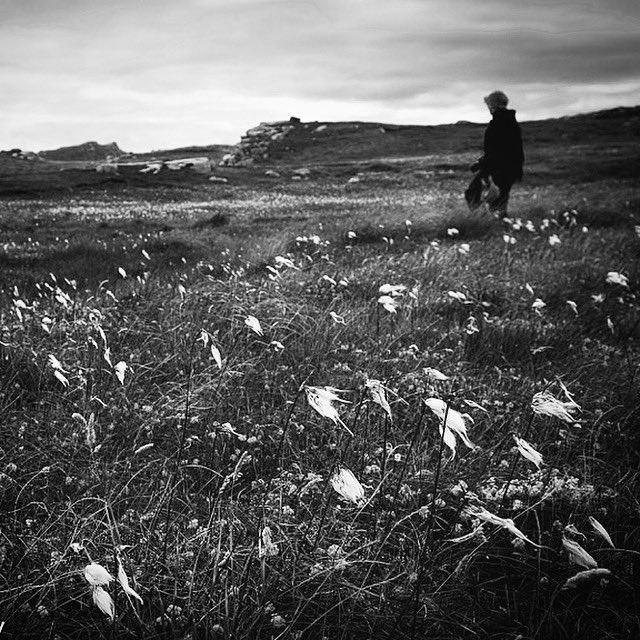 Elaine Farrell Photography tweet media