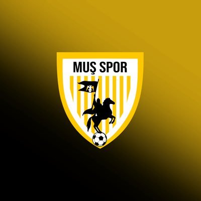 MİSTİK VANSPORLU tweet media