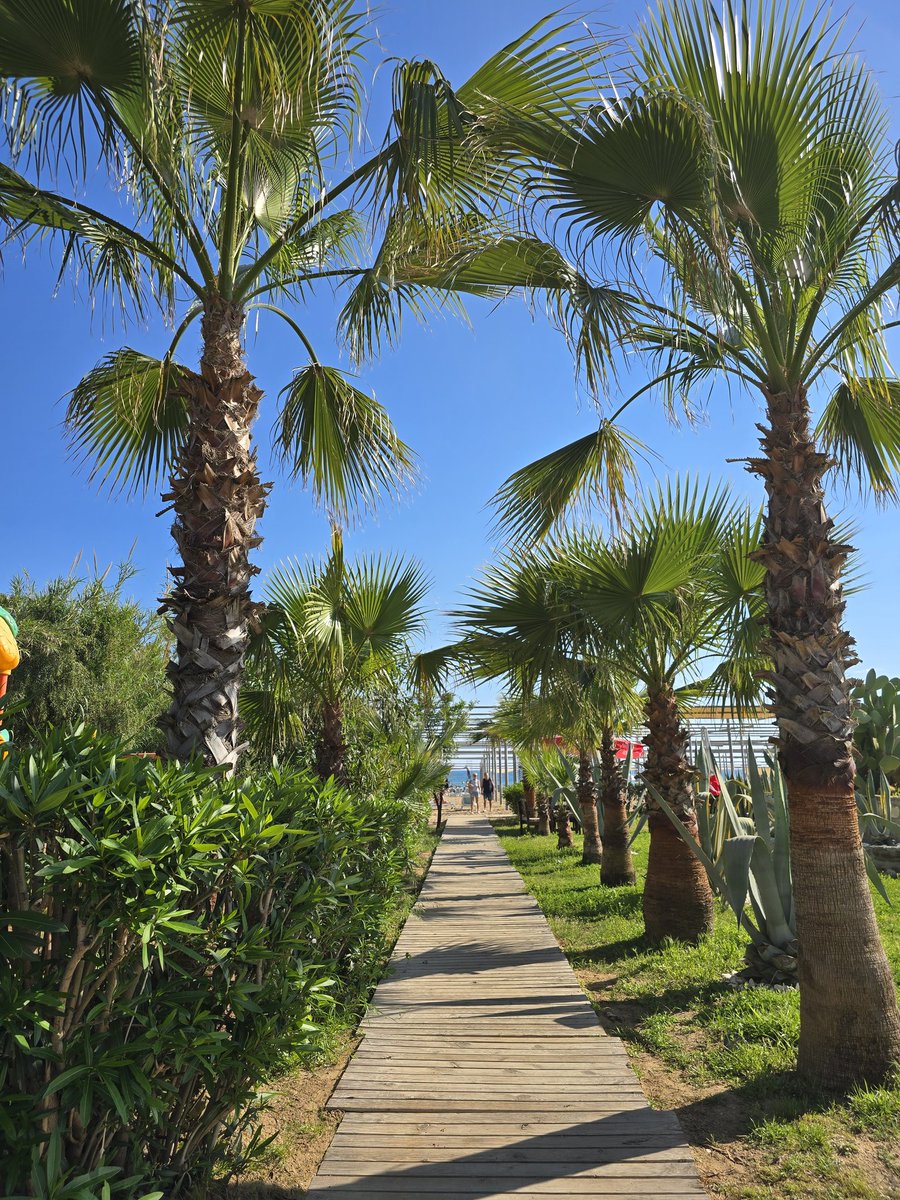 MkVarietyp3526's tweet image. Grüße aus der Türkei 😍bissel Sonne tanken 😁hab gehört Türkei könnte das neue Dubai werden zwecks Steuern 😎#Türkei #Urlaub #Steuern