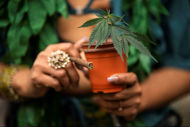 sorsetech's tweet photo. GLP-1 is reshaping consumer behavior beyond healthcare—cannabis included.

We’re seeing more intentional use: sleep, stress, even alcohol alternatives.

Science is still evolving.

Full story via Reuters: https://t.co/MvDbmBCU6b

#GLP1 #CannabisIndustry https://t.co/Ol4m1MxytU