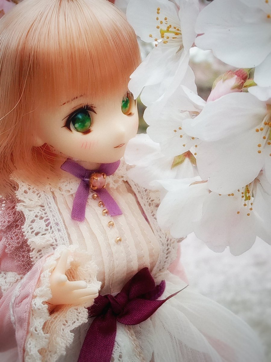 264a2e's tweet photo. #４月を写真４枚で振り返る
#尾櫃制服計画
桜だったりイースターだったり念願のマリオ映画だったりチューリップ柄ブラウスだったり。 https://t.co/zTWfZlJpuO