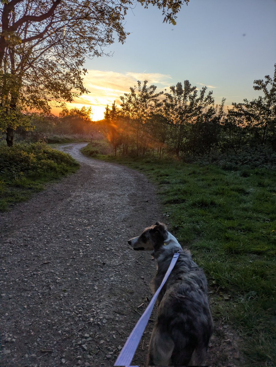 JolinaWolf's tweet photo. Had to cut the grass before going away this weekend. Ended up catching a pretty sunset because we left much later than usual 😮 https://t.co/UnqvYPRVIj