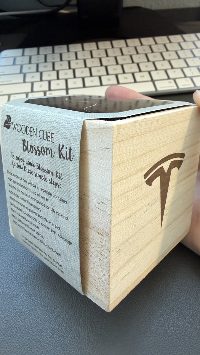 Tesla Joy tweet media