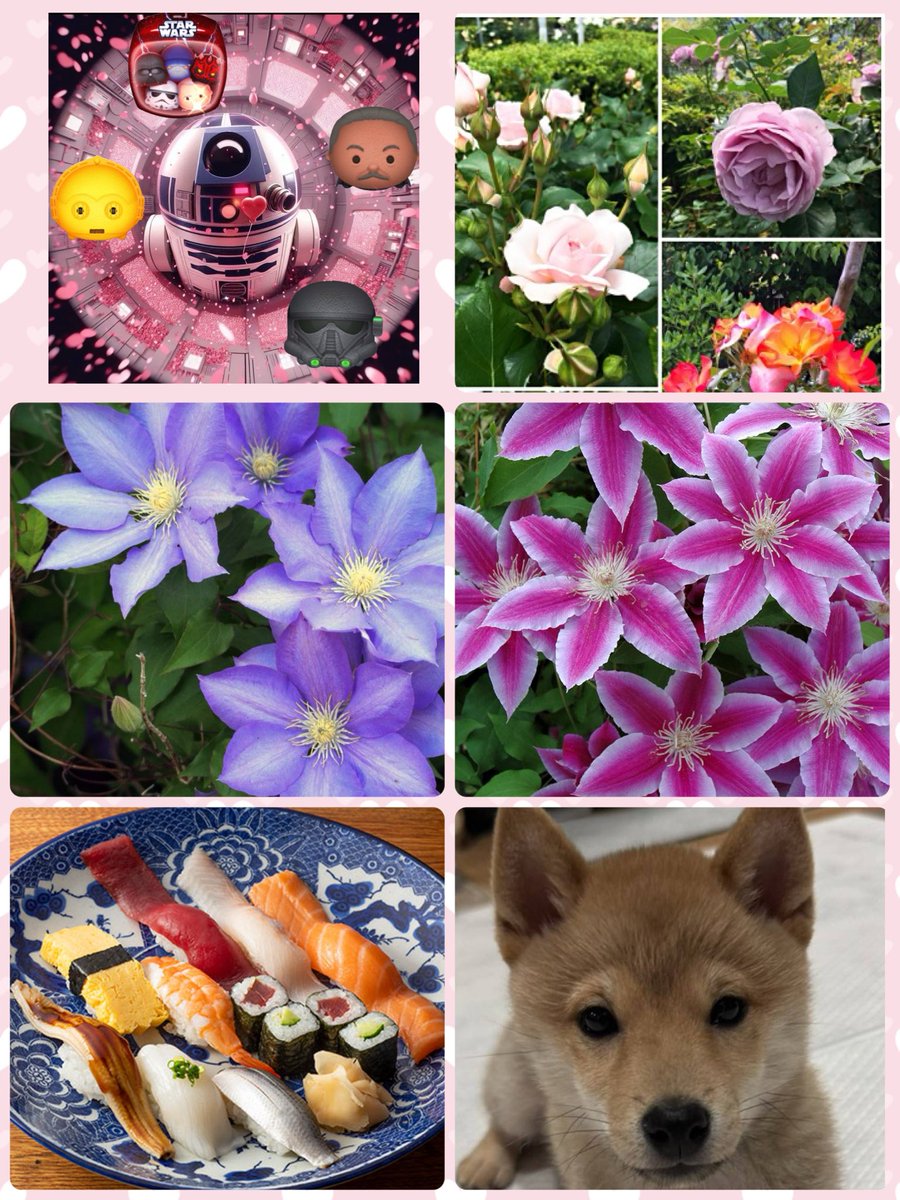 すみれ🧚‍♀️🐥🎁✨️ tweet media