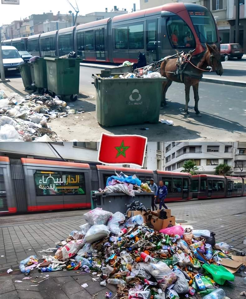 🇩🇿ابراهيم *19*الجزائري 🇩🇿 tweet media