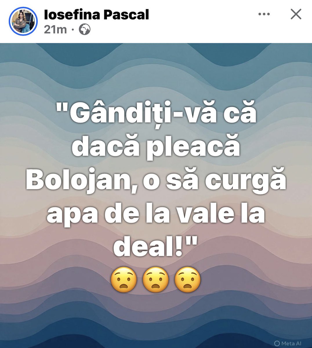 Adriana GIURGIU tweet media