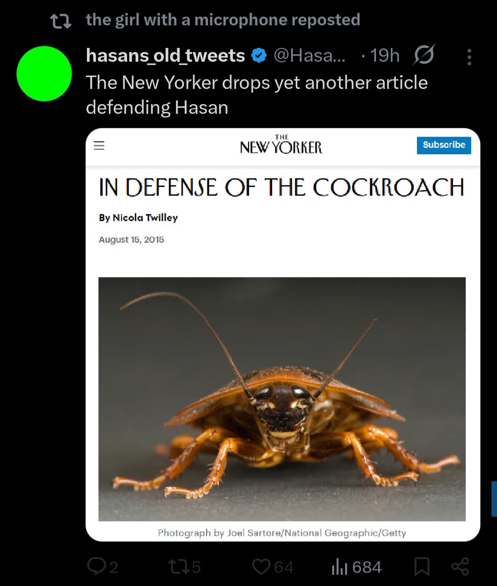 Ethan's Attic tweet media