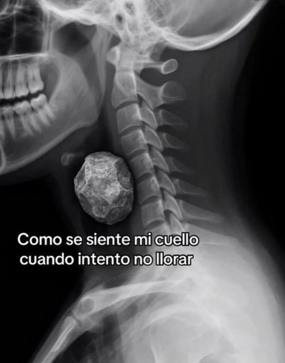 adri tweet media
