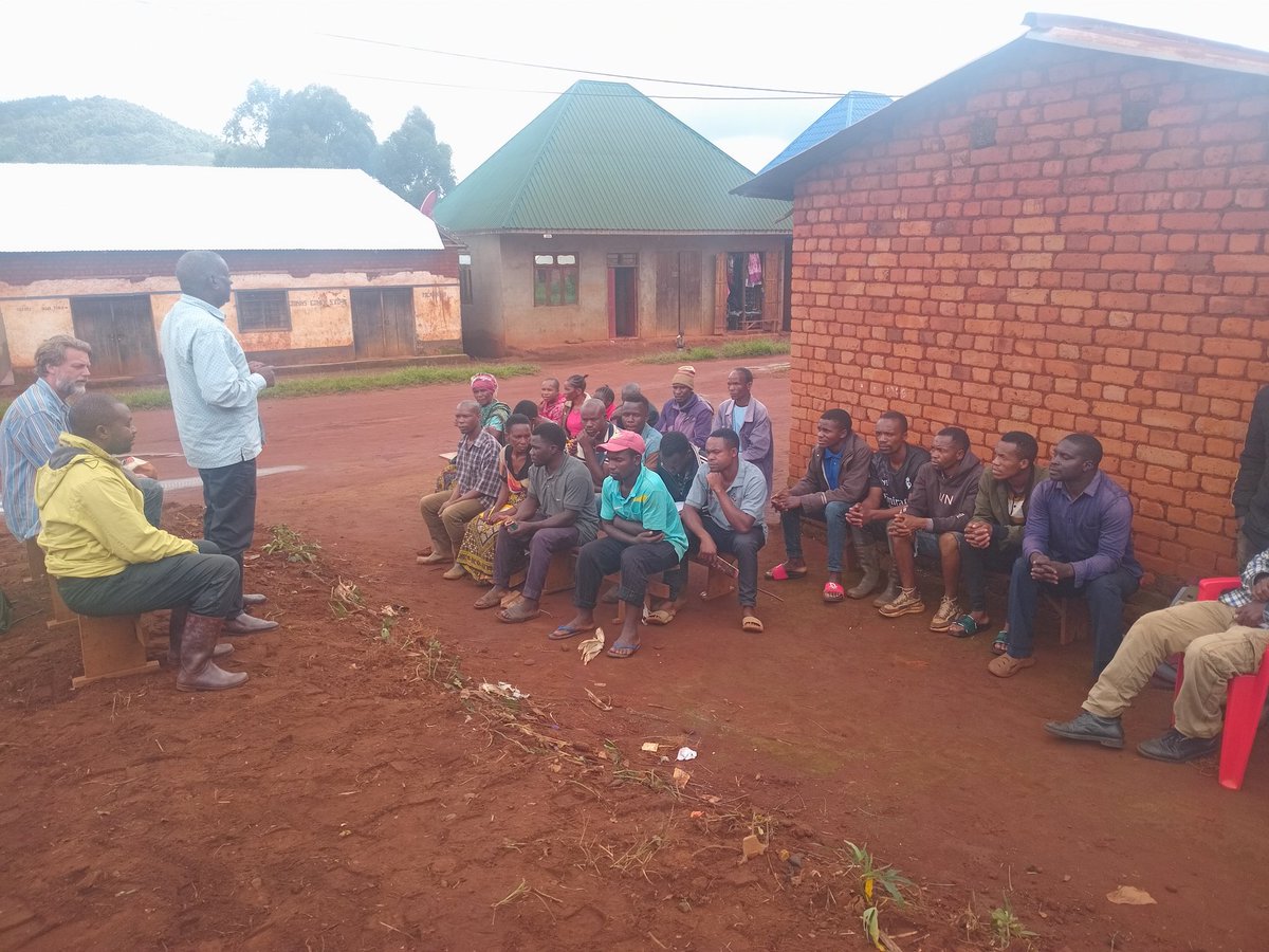 Robertkomba01's tweet image. MBIFACU Cooperative will soon begin the registration of farms to improve traceability, transparency, and farmer benefits.
#Mbifacu
#Carbon
#DMTR