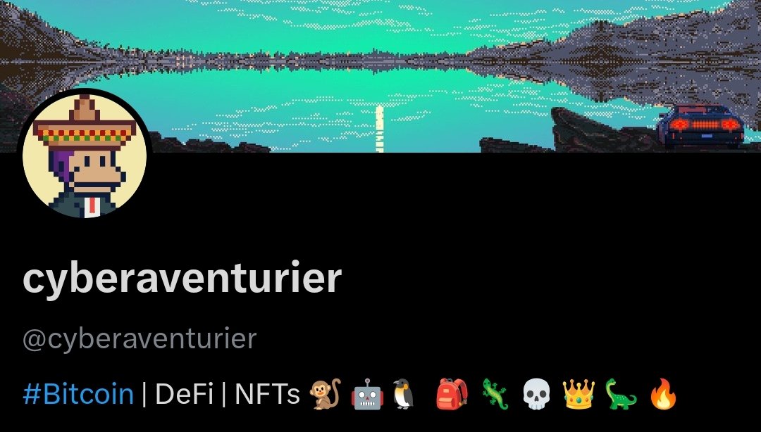 cyberaventurier's tweet image. New bio

Recognize any #NFT community you like?