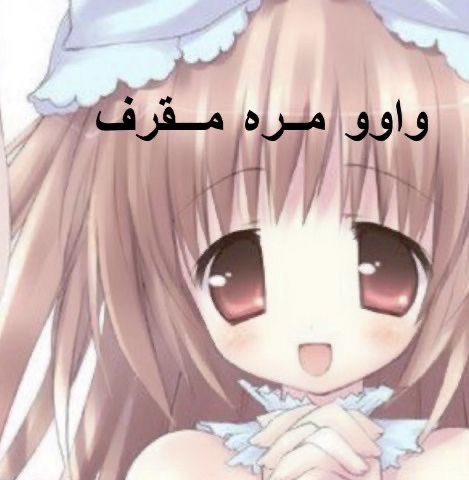 𝒮𝒽𝒶𝒽𝒹 🎀 tweet media