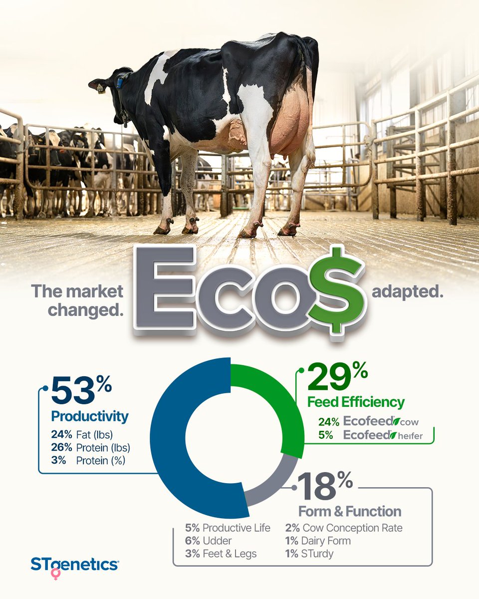 STgenetics's tweet image. #Eco$ from #STgenetics: is profitability in an index that includes:
🧀53% Production for high performance cows
🍃29% EcoFeed® to reduce feed costs
💪18% Form &amp;amp; Function Traits including PL, UDC, F&amp;amp;L, CCR, Dairy Form and STgenetics new Study trait for appealing and functional cows