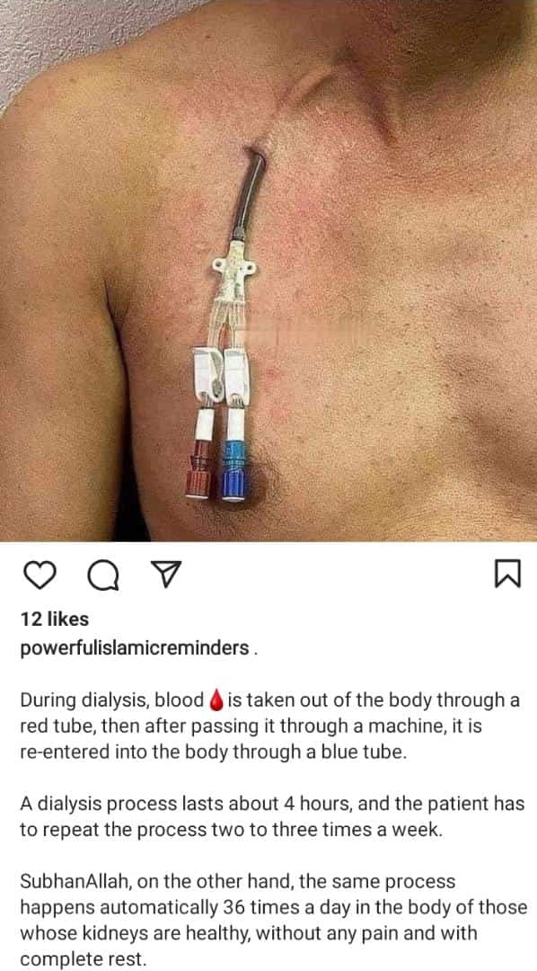 Salahu tweet media