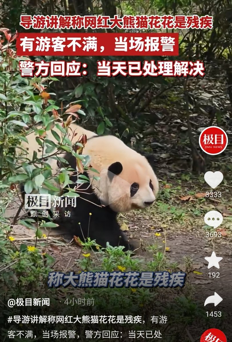 夸克说 tweet media