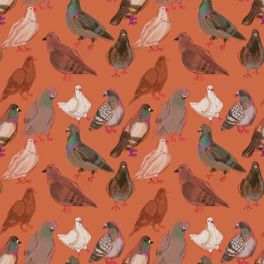 pigeon pattern
