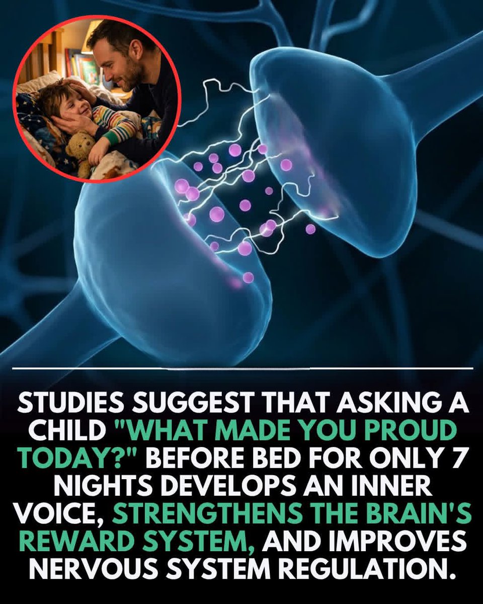 Shining Science tweet media