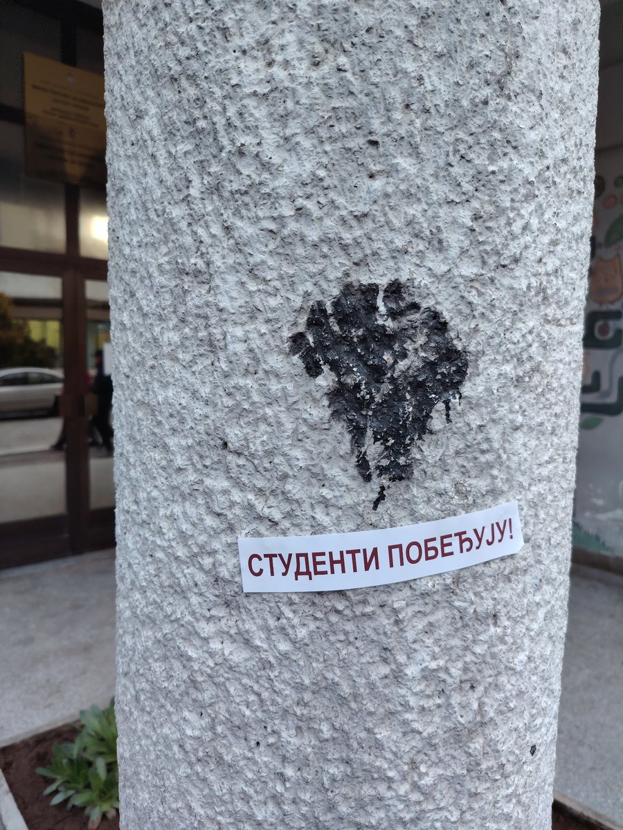 Andrijana Marilyn Spasov Wolff tweet media