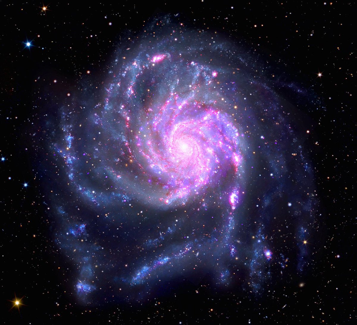 Jasmine 🌌🔭 tweet media