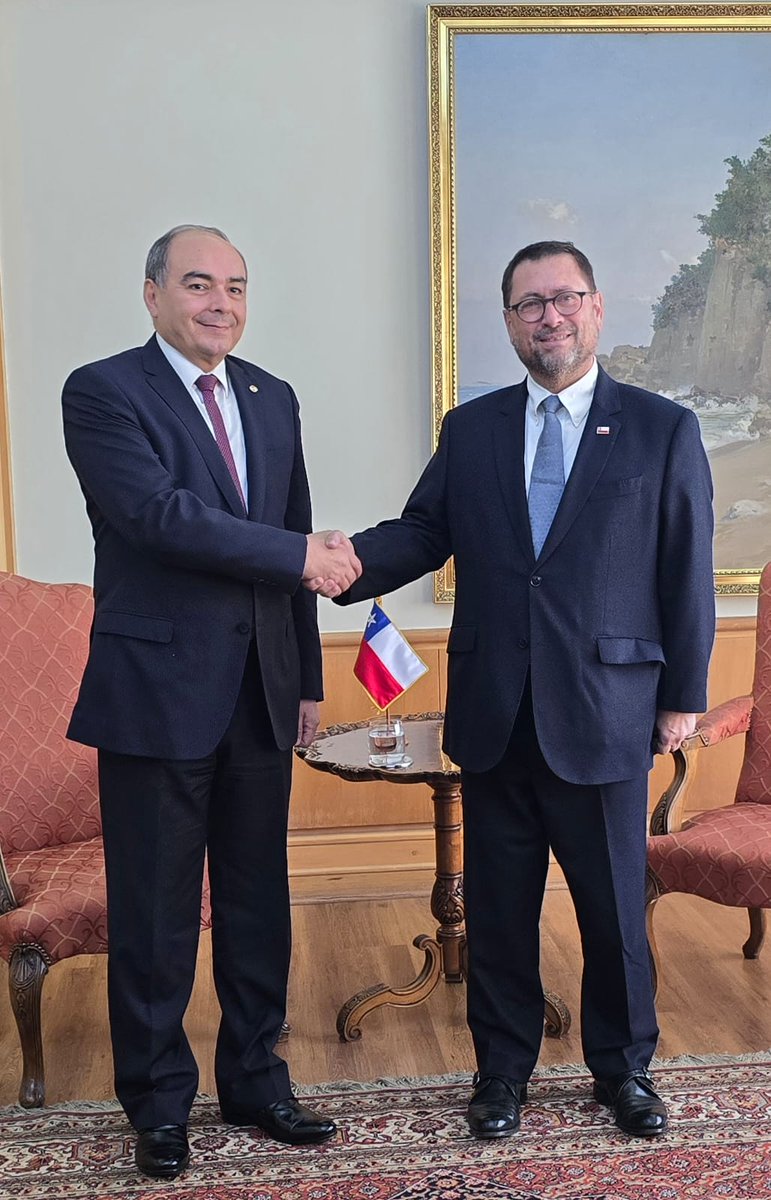 Embajada del Paraguay en Chile tweet media
