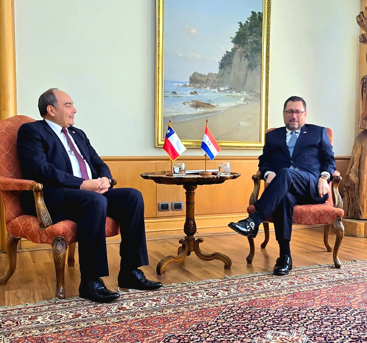 Embajada del Paraguay en Chile tweet media