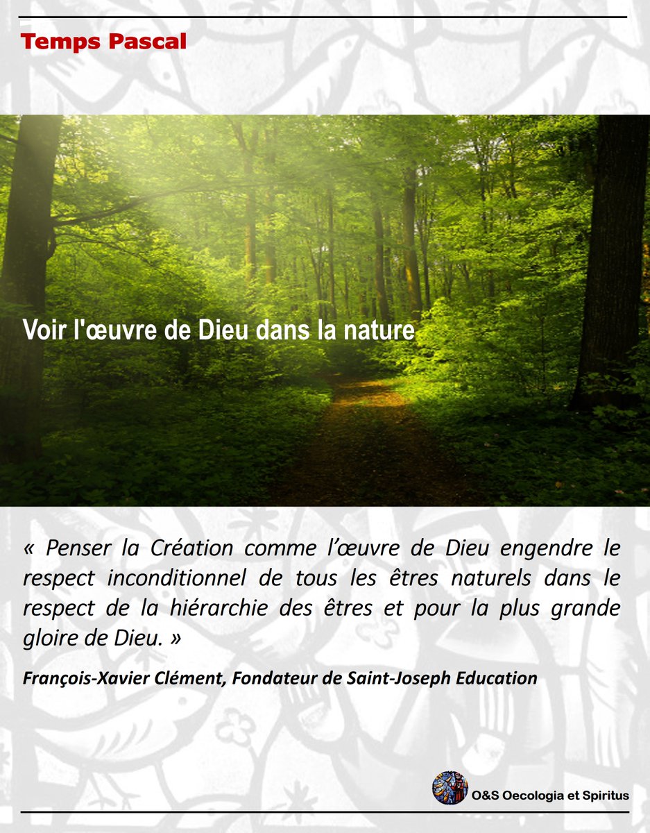 Oecologia_et_Sp's tweet image. Voir l'œuvre de Dieu dans la nature
lerasso.com/news/voir-l-oe…

#LaudatoSi #écologie #chrétiens #catholiques