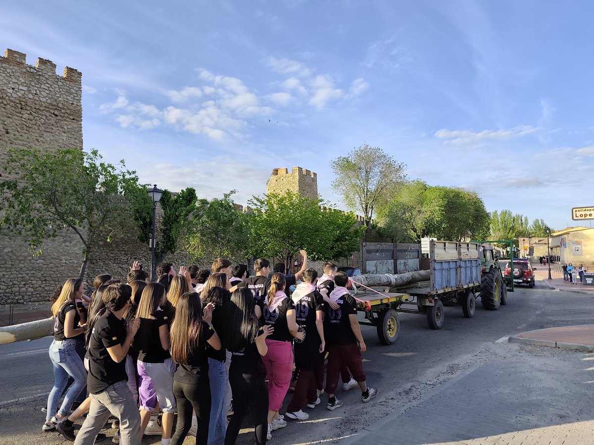 oscarranlo's tweet image. Los mozos de Olmedo #Valladolid, llegan al pueblo cargando el mayo (y dejando clara su rivalidad con la vecina Íscar). Tradición ancestral en muchos pueblos, "poner (o pingar) el mayo", costumbre que corresponde a los quintos que festeja la entrada a la primavera