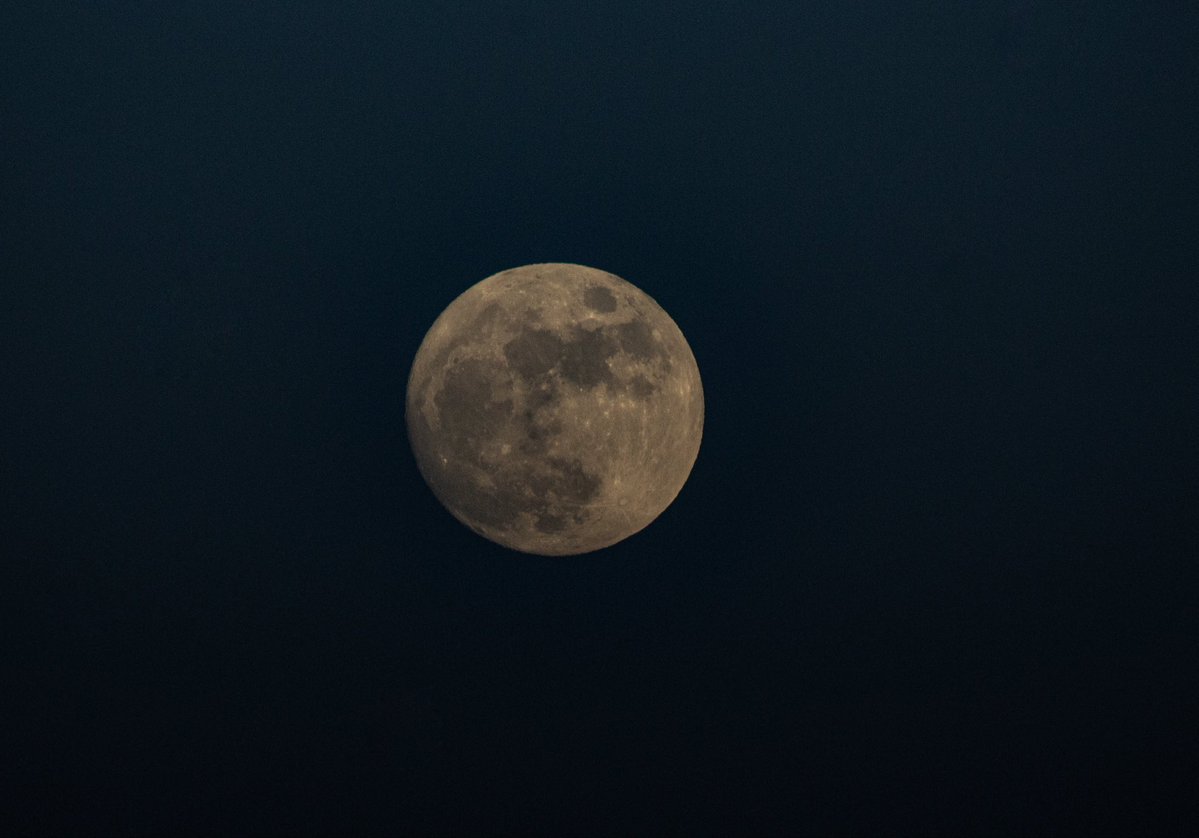 JulieIngham8888's tweet image. Moon 🌝 gazing with 📸  &amp;amp; 🐈‍⬛ 

#moon #stargazing #photography