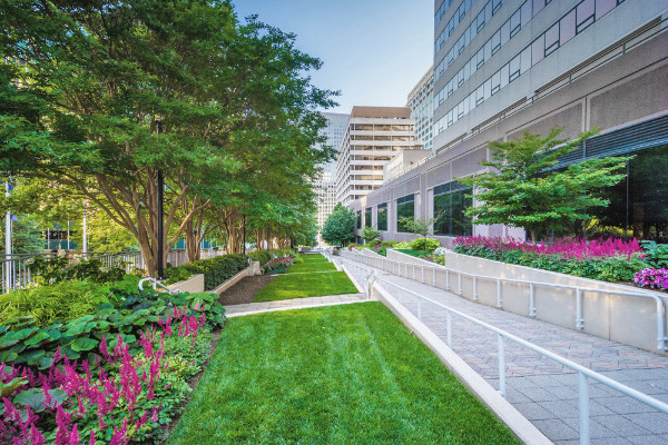 landcogroup's tweet image. We provide provide COMMERCIAL LANDSCAPING Services...
LEARN MORE...  landcogroup.com/commercial-lan…

#lighting #landscapelighting #outdoorlighting #exteriorlighting #outdoorconstruction #burlington #florence #nky #northernkentucky #cincinnati