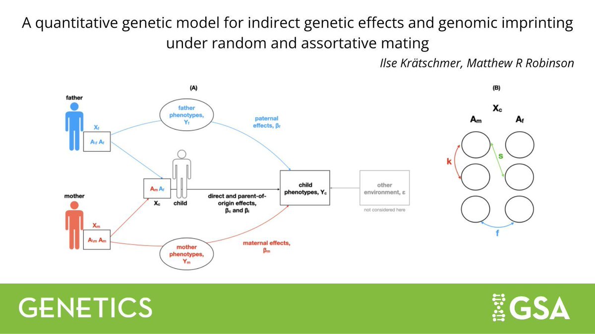 Genetics Society of America tweet media