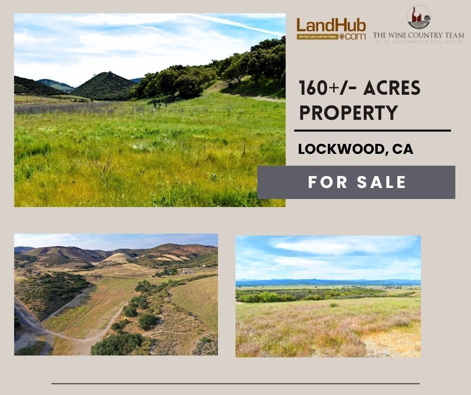 landhub's tweet image. 160± Acres of Opportunity in Southern Monterey County 
✔ Ideal for a private estate, ranch, or agricultural venture
✔ ~80 acres potentially suitable for planting 
LEARN MORE 👉 buff.ly/XoBG3b5 
#landforsale #ranch #farm #acreage #homesite #cattleranch #agriculture