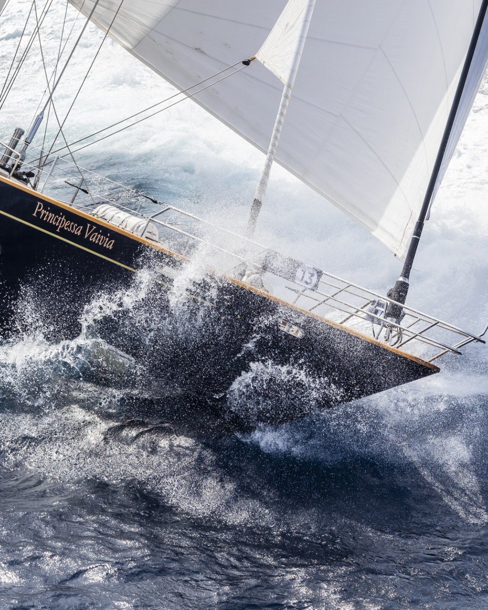 DelightMoments_'s tweet image. #sailing