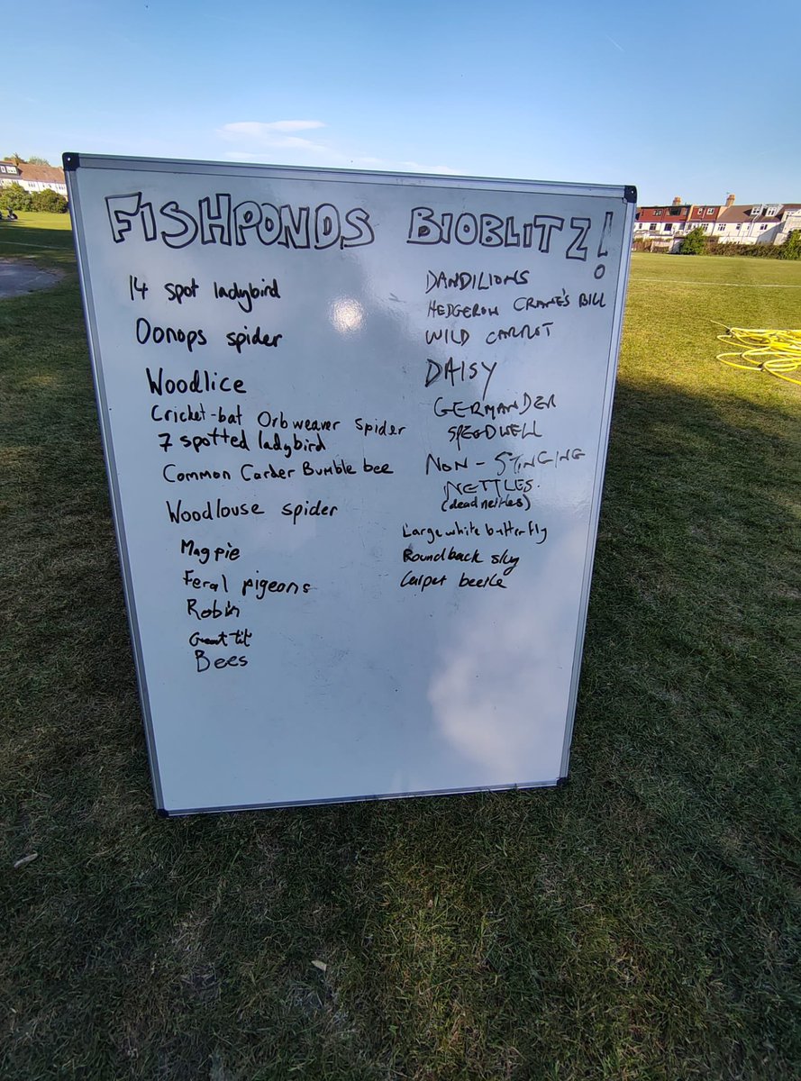 FFishponds's tweet photo. Thanks to everyone who joined our BioBlitz and Spring Open Day last Saturday at Fishponds Playing Fields. It was a great #tooting community event. More exciting news to follow… https://t.co/Bg0zyym7xD
