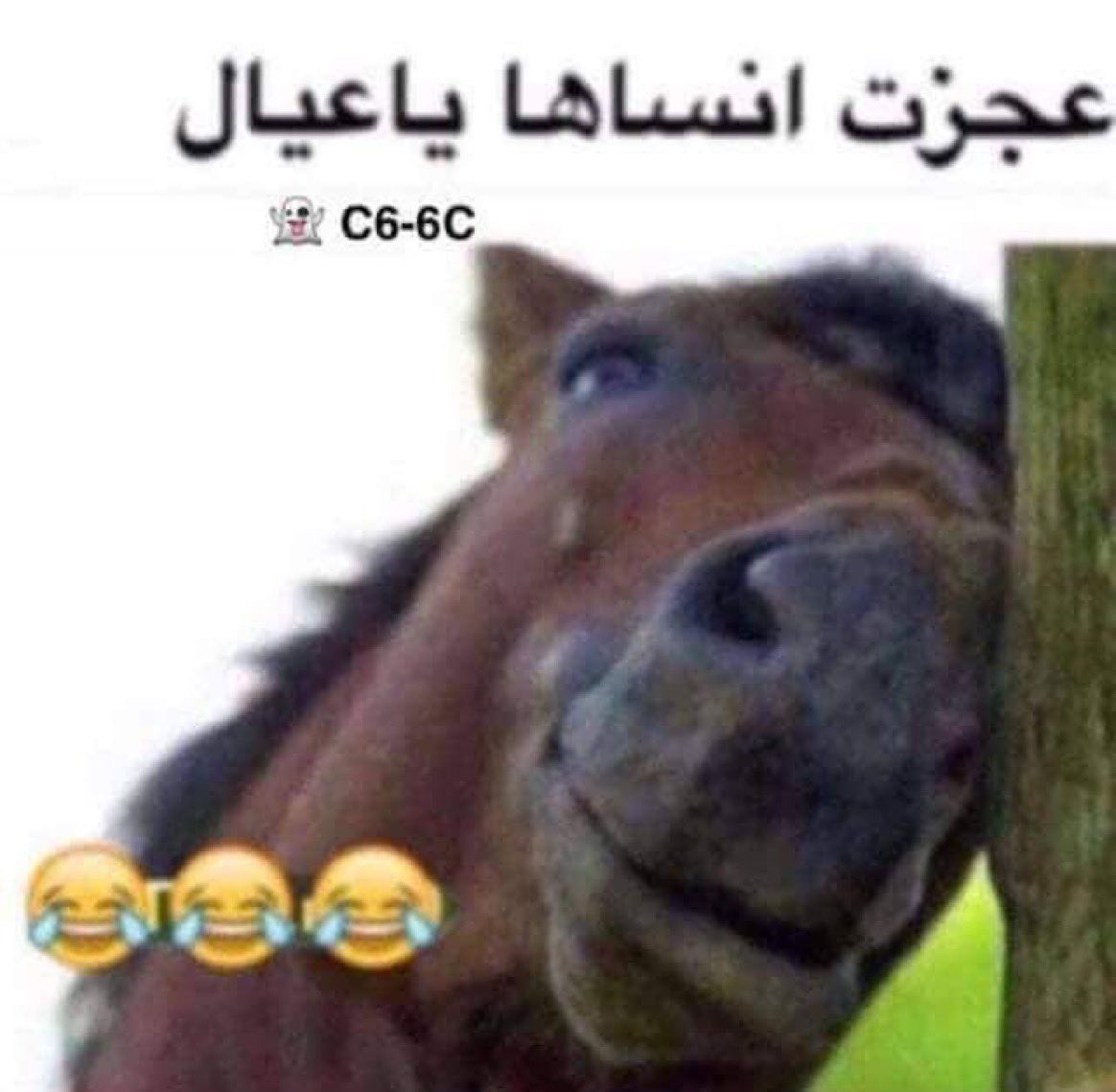🇸🇦نزيه tweet media