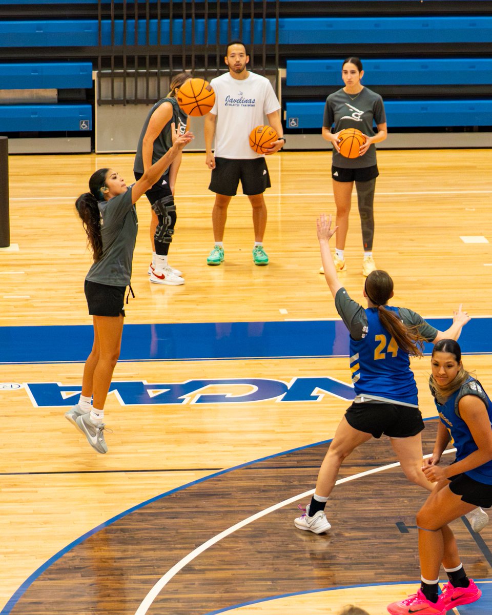 Javelina Women’s Basketball 🏀🐗 tweet media