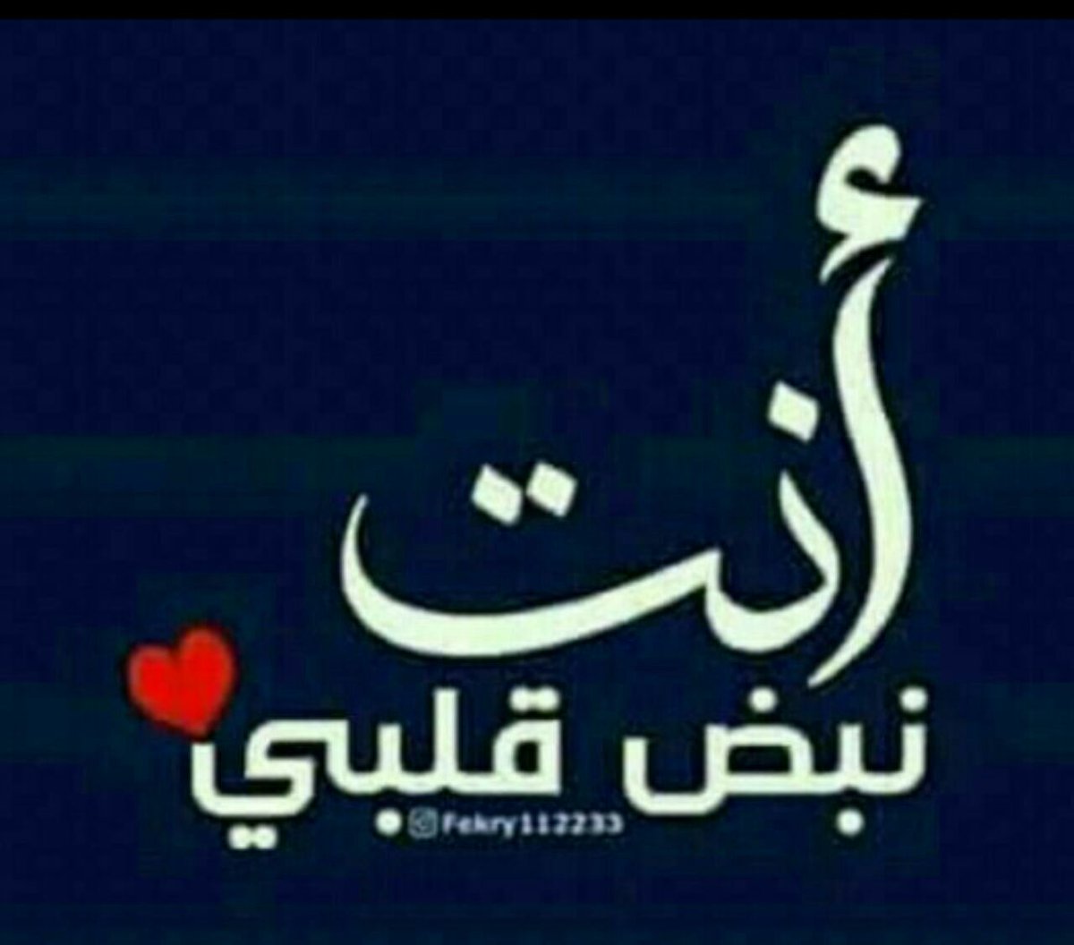 Nour 🕊️ tweet media