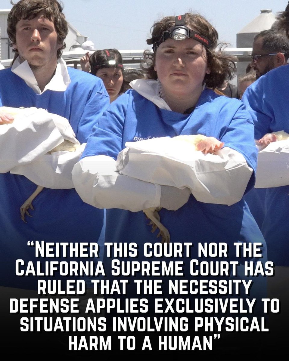 DxEverywhere's tweet photo. BREAKING: The Court of Appeals just overturned Wayne Hsiung’s felony conviction for his role in rescuing 37 abused hens from a factory egg farm called Sunrise Farms. They also overturned his misdemeanor trespass conviction for his role in the rescue of 32 sick ducklings from Reichardt Duck Farm.

The Court ruled that Hsiung should have been allowed to argue that he believed his actions to be legal under the necessity defense. Further, the Court wrote that “Neither this court nor the California Supreme Court has ruled that the necessity defense applies exclusively to situations involving physical harm to a human,” validating that individuals could have the right to violate laws in order to rescue animals from extreme harm.

The Court did not overturn his misdemeanor trespass conviction for his actions at Sunrise Farms or make a clear ruling affirming that the necessity defense actively does apply to nonhuman animals. Consequently, Wayne will be appealing to the California Supreme Court on this issue.

Nevertheless, this is a major step forward towards establishing the Right to Rescue and positioning animals as persons under the law.

#RightToRescue