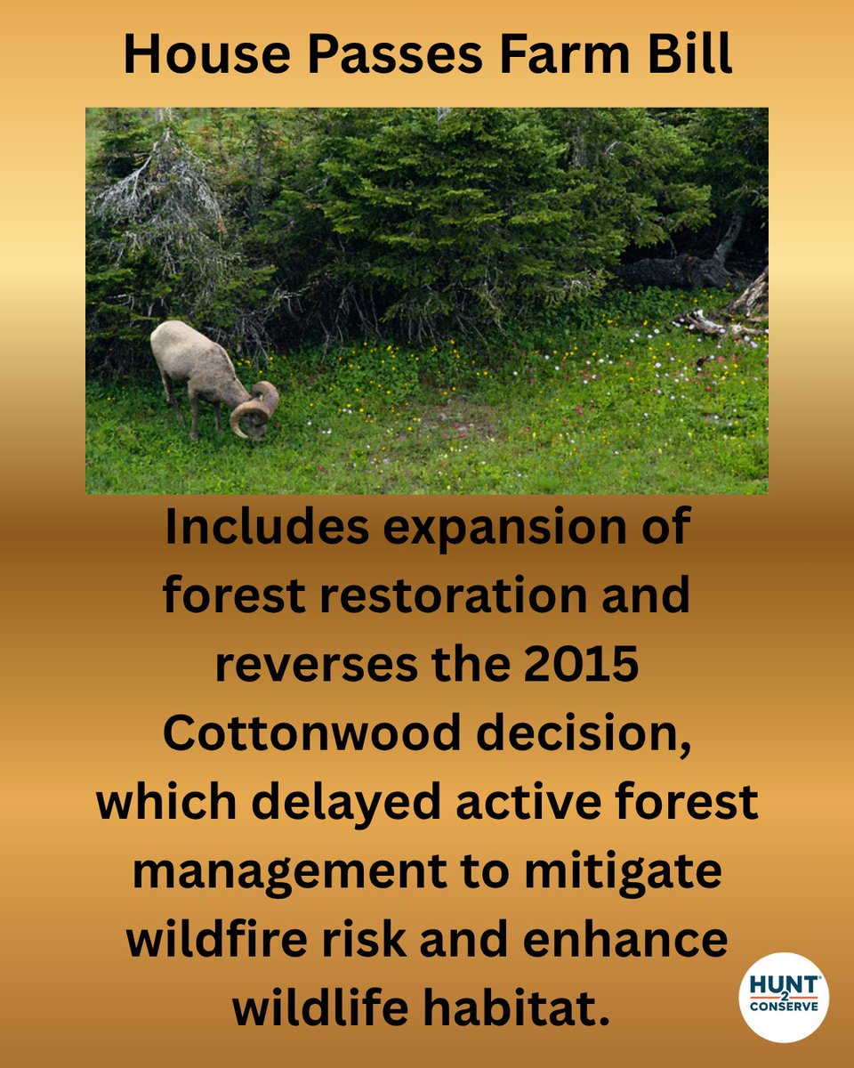 Hunt2ConserveOrg tweet media