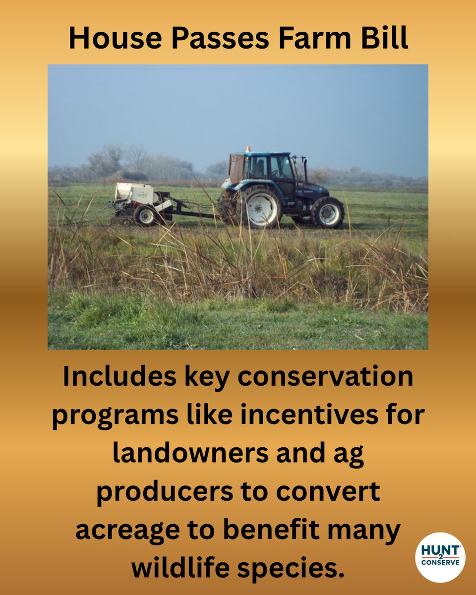 Hunt2ConserveOrg tweet media