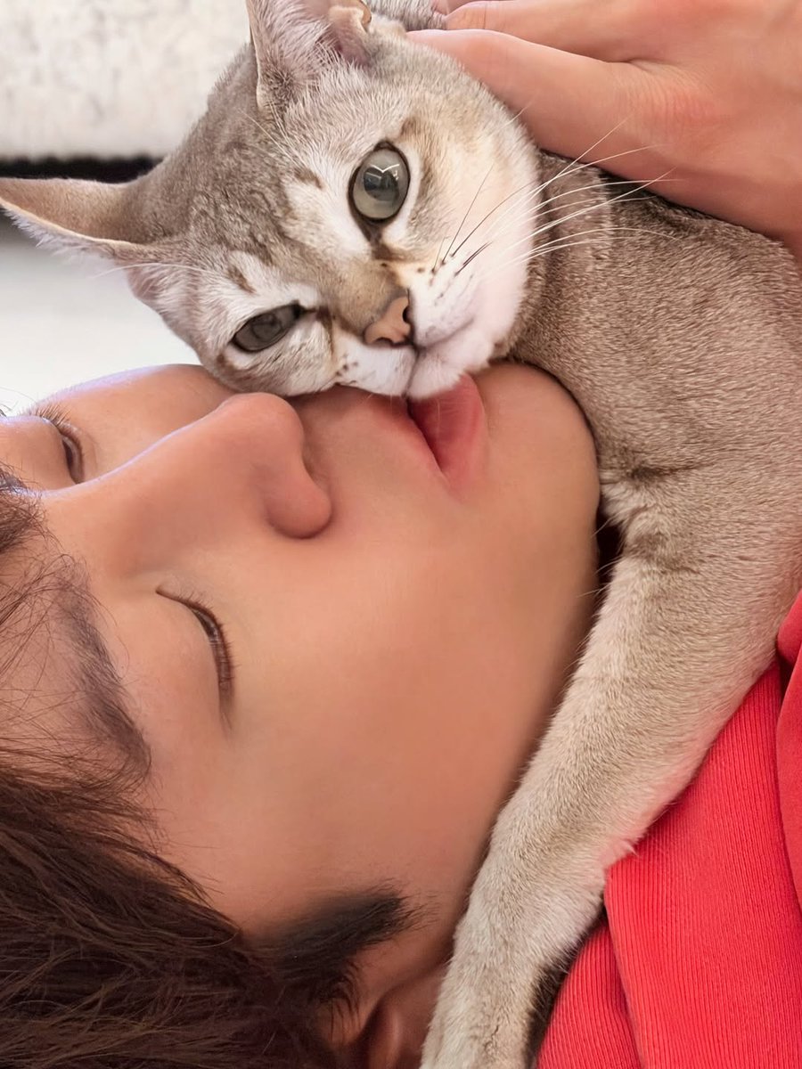PecooCin's tweet photo. 【美韓】チャン・グンソクに投票完了！現在の得票数:4884票
チャン・グンソク「お前の笑顔は最高だ‼️」
人気投票はこちらから↓
 https://t.co/iNlKWCn7fH #チャン・グンソク #JangKeunSuk #장근석 #チャン・グンソクからのメッセージ https://t.co/k3r6GIRZiM