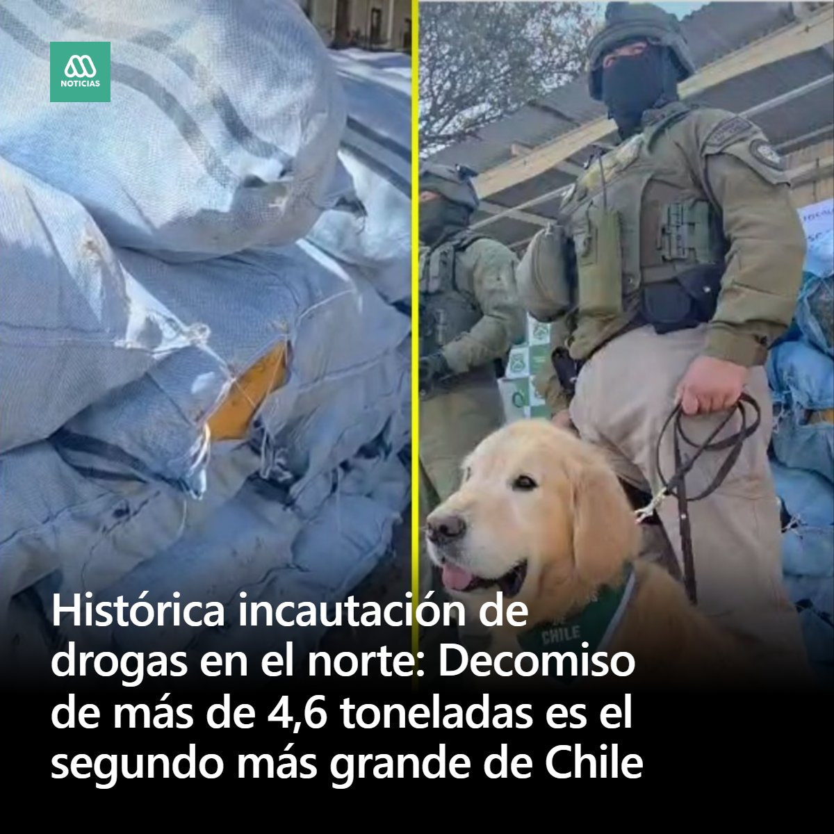 Meganoticias tweet media