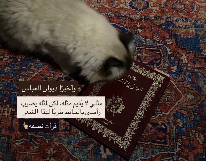 كازوكُو|和子. tweet media