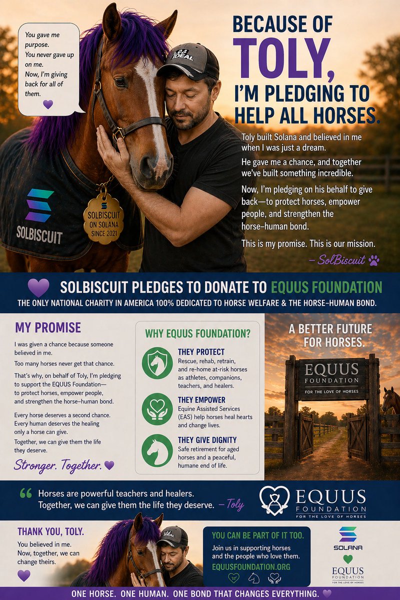 Solbiscuit 🐴 tweet media