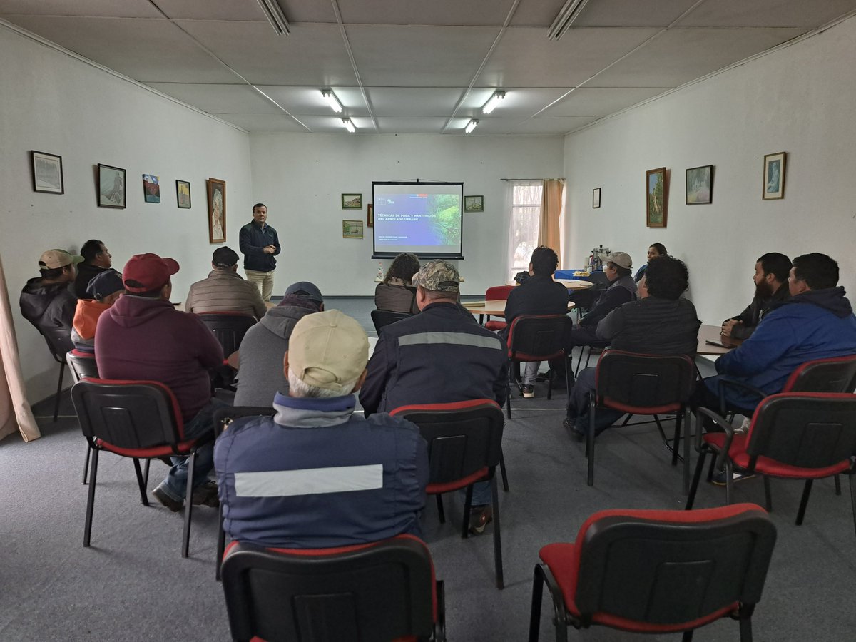 conaf_araucania's tweet image. 🌳✂️ En #Victoria, CONAF realizó capacitación teórico-práctica en poda y mantención del arbolado urbano, dirigida a funcionarios municipales.

Instancia que fortalece capacidades para una gestión adecuada de los espacios urbanos 💚
#CONAF #ArboladoUrbano #LaAraucanía