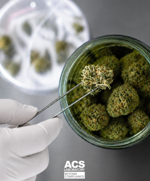 ACS Laboratory tweet media
